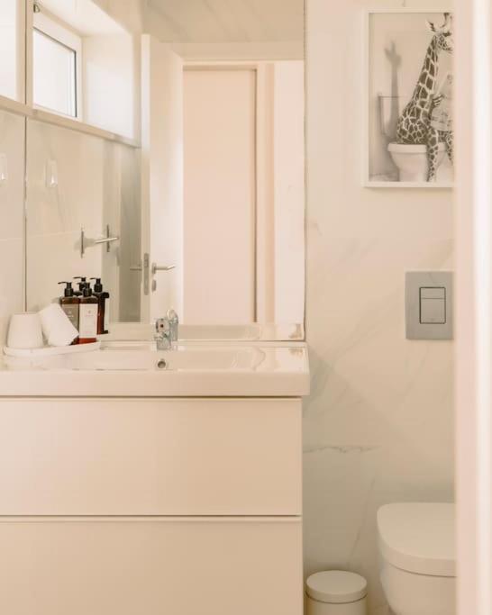 Glam House No Coracao Da Cidade Dystrykt Dystrykt Faro Zewnętrze zdjęcie