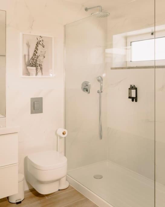 Glam House No Coracao Da Cidade Dystrykt Dystrykt Faro Zewnętrze zdjęcie